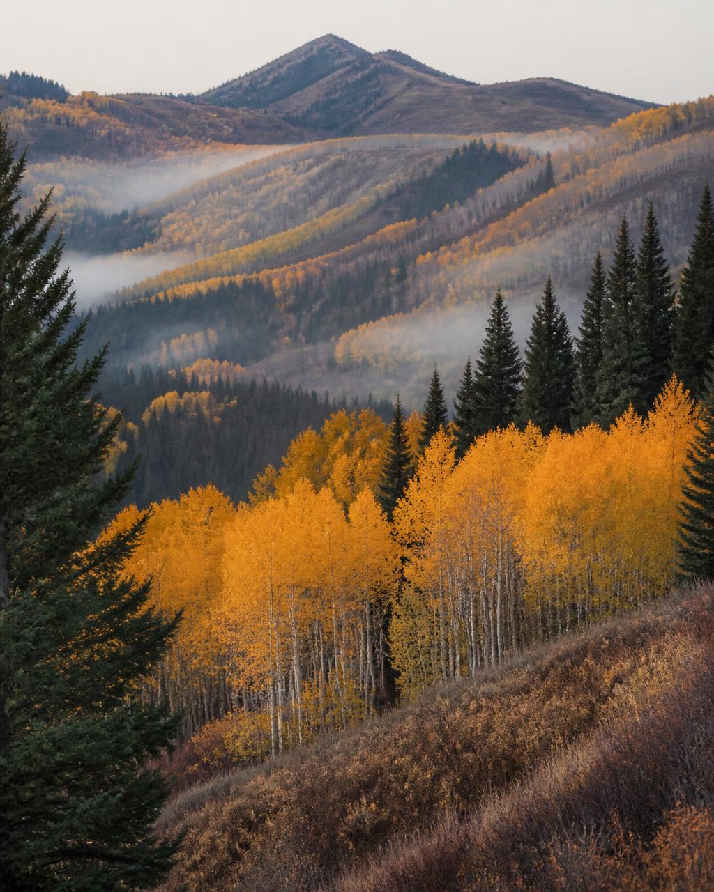 Fall in Park City, Utah