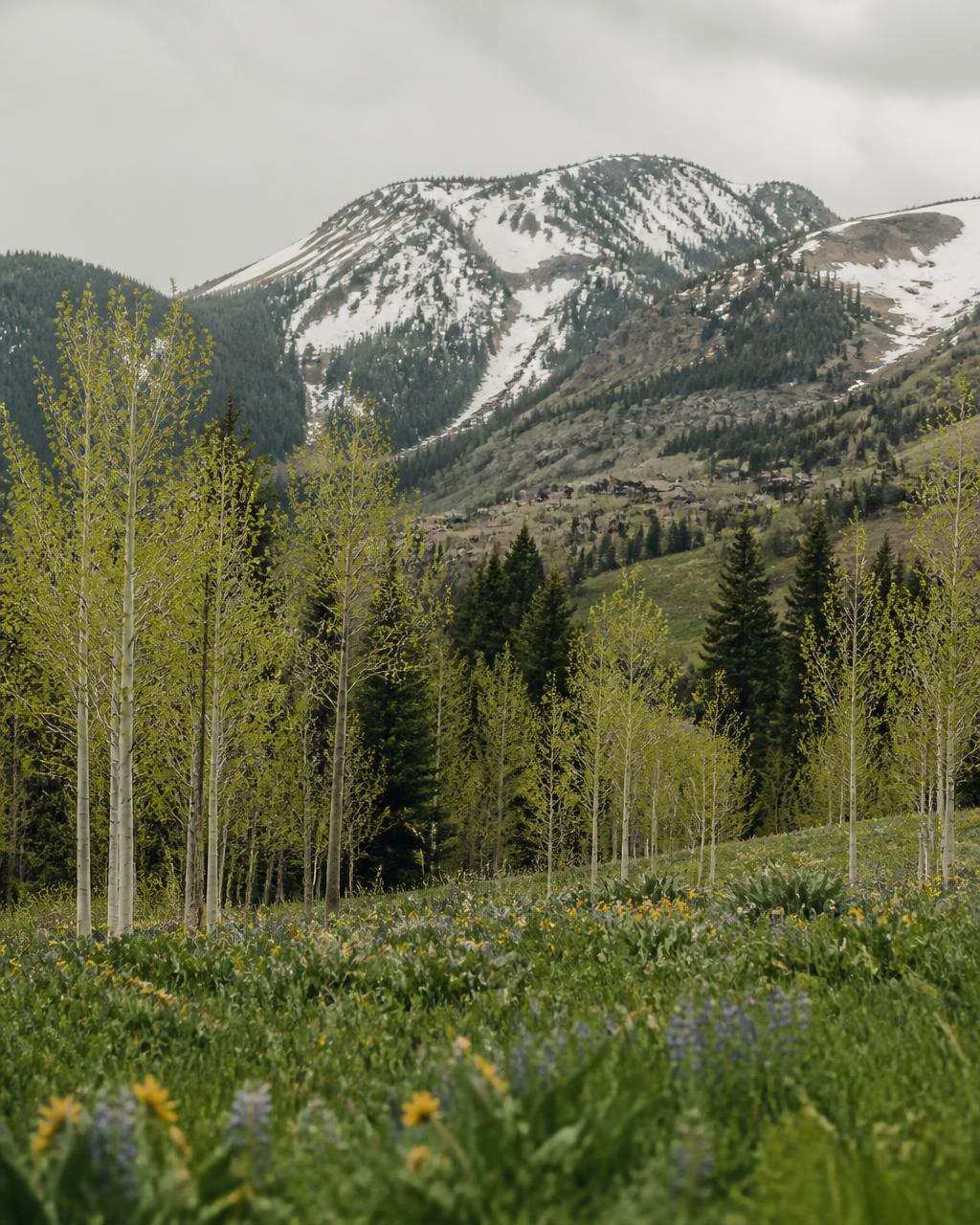 Spring in Park City, Utah